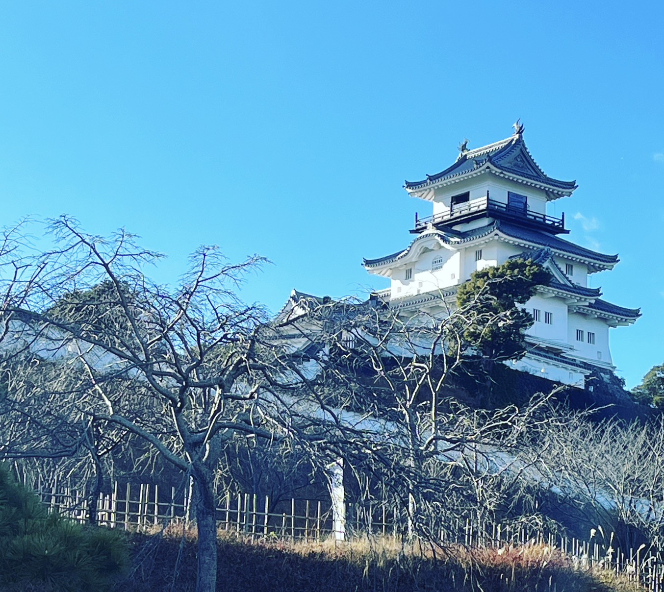 掛川城（静岡県掛川市）— 社名の由来となった掛川大祭の地